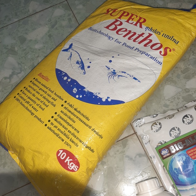 Siêu bo bo super benthos hàng thái lan