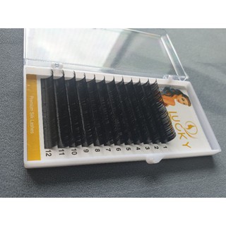 Mi Nối Độ Cong D
