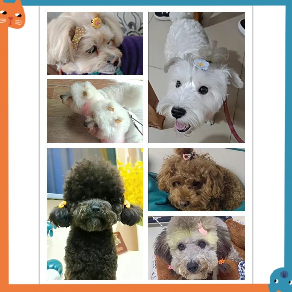 Kẹp Tóc Đính Đá Sapphire Xinh Xắn Cho Thú Cưng