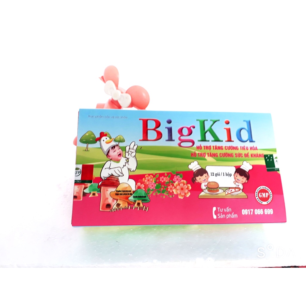 Siro BIGKID, hỗ trợ tăng cường tiêu hóa, giúp ăn ngon; tăng cường sức đề kháng cho trẻ