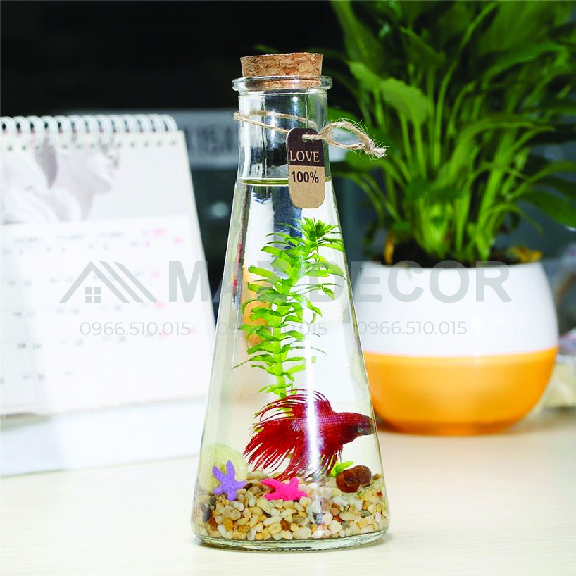 [Sỉ] Chai lọ thủy tinh tam giác sinh tố 315ML đẹp giá rẻ