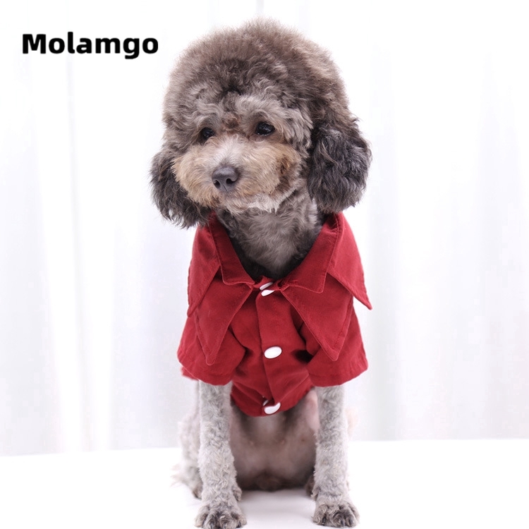 Quần áo cho thú cưng MOLAMGO thiết kế xinh xắn tùy chọn