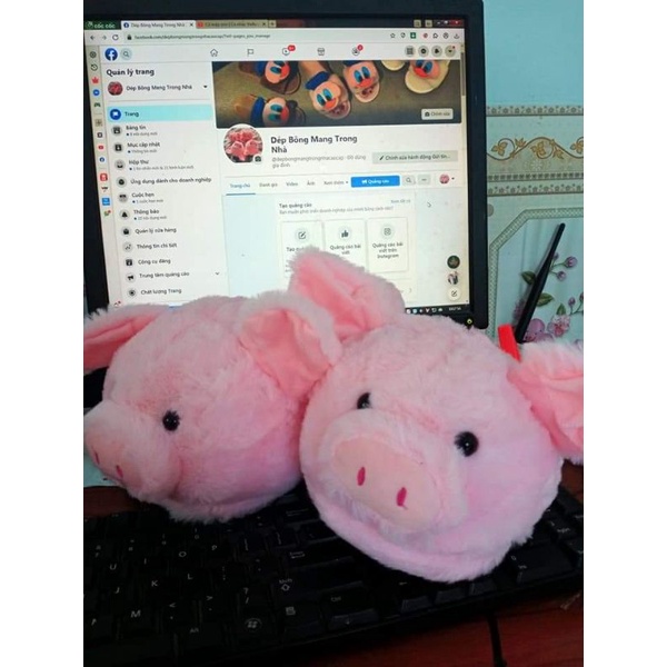 Dép lông mang trong nhà.