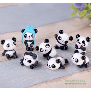 Gấu trúc panda tinh nghịch
