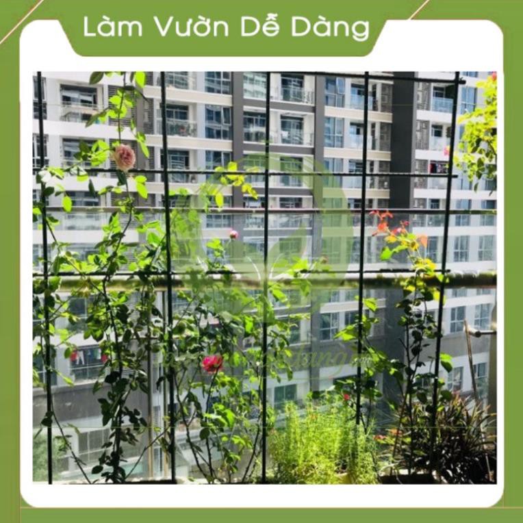 GIÀN LEO cao 1.8m - KHUNG TRỒNG CÂY Dùng làm Khung Đỡ, Giá Đỡ Hoa Hồng Leo, giàn leo bầu bí mướp