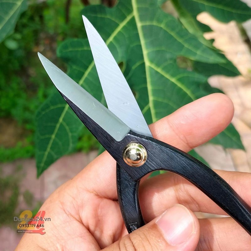 Kéo Nhật cắt tỉa cây kiểng bonsai mũi dài Mikisho