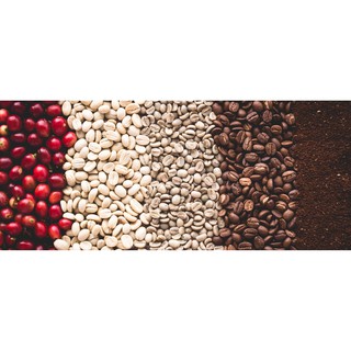 500g Cà Phê Arabica & Robusta Nguyên Chất Pha Phin Pha Máy