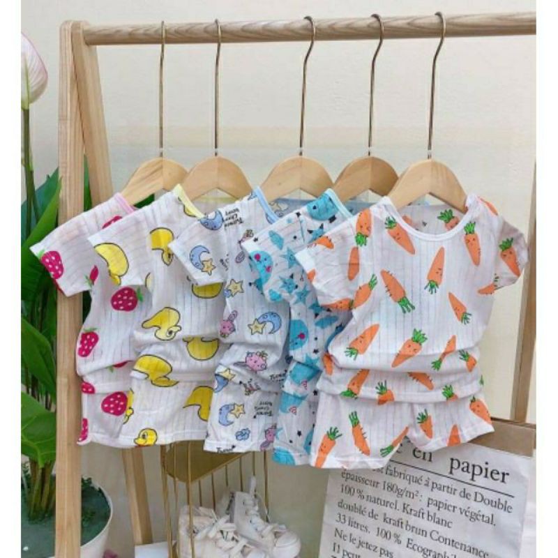 Sét 5 bộ cotton giấy cộc tay cho bé sz 6-15 kg