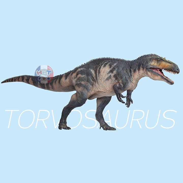 Mô hình Khủng Long Torvosaurus PNSO 48 2021 Connor tỉ lệ 1/35 chính hãng