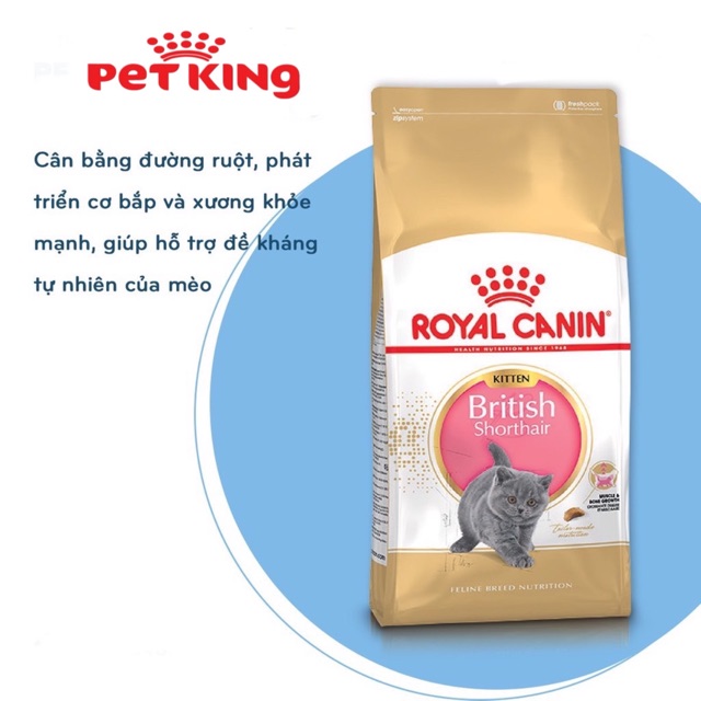 Thức Ăn Hạt Royal Canin British Shorthair Kitten 2Kg cho mèo Anh Lông Ngắn