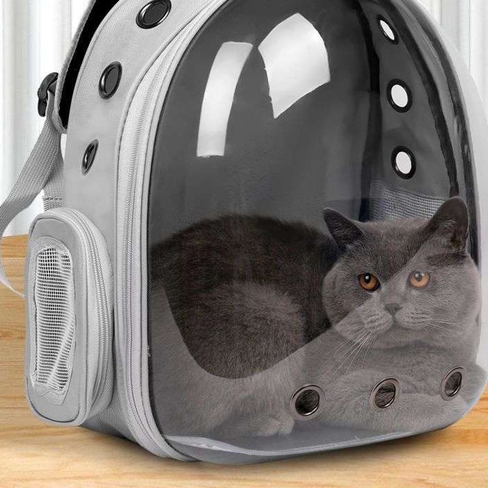 Balo mang theo thú cưng/ chó mèo tiện lợi