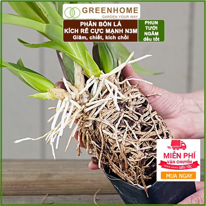 Thuốc kích rễ N3M, hũ 100gr, siêu ra rễ, giâm, chiết cành, ngâm hạt giống |Greenhome