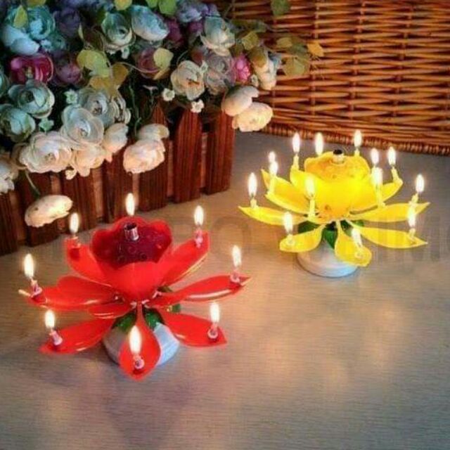Nến sinh nhật nở hoa phát nhạc