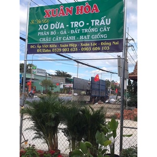Chậu nhựa đen C11