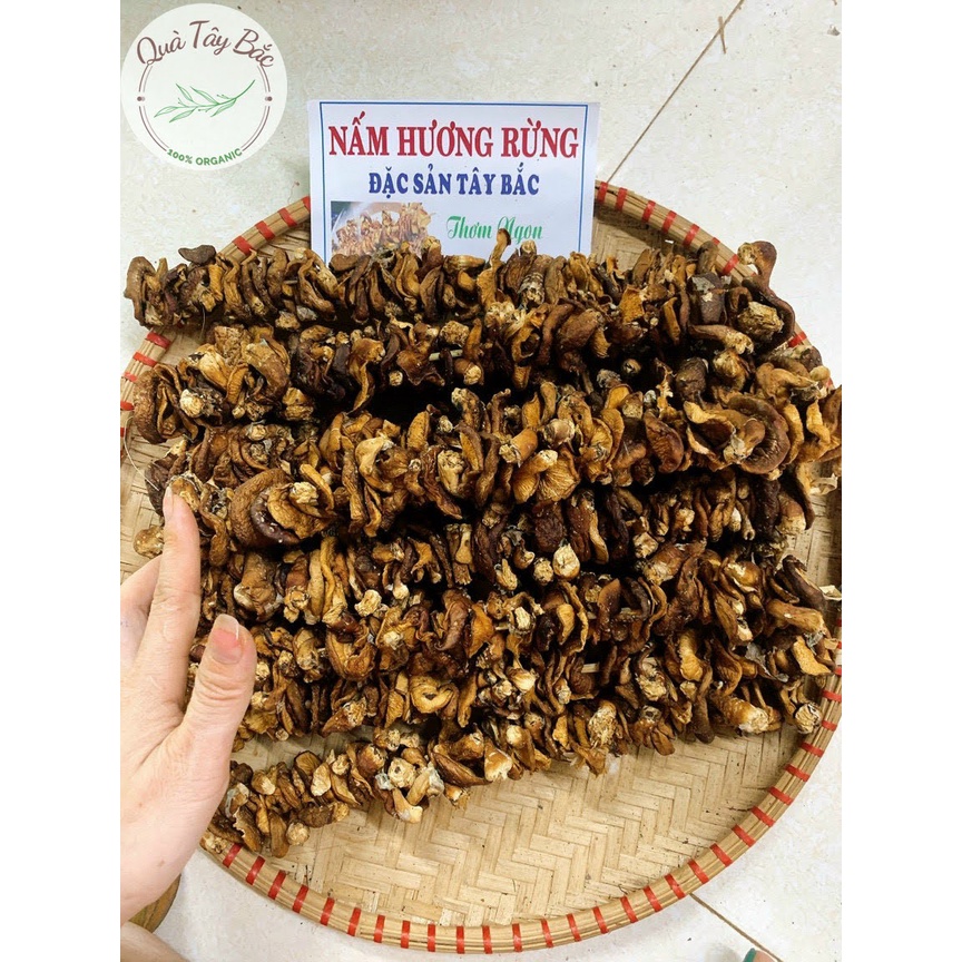 Nấm Hương Rừng Tây Bắc Khô loại 1 túi 100g | BigBuy360 - bigbuy360.vn