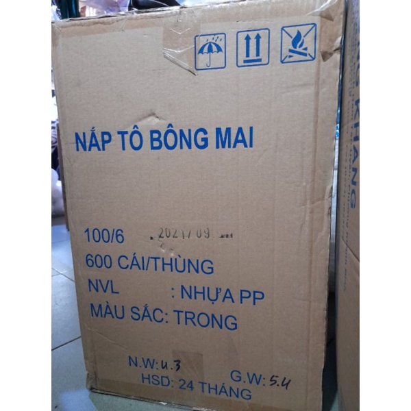10 Tô Bông Mai 1000ml Kèm Nắp Tân Tường Khang