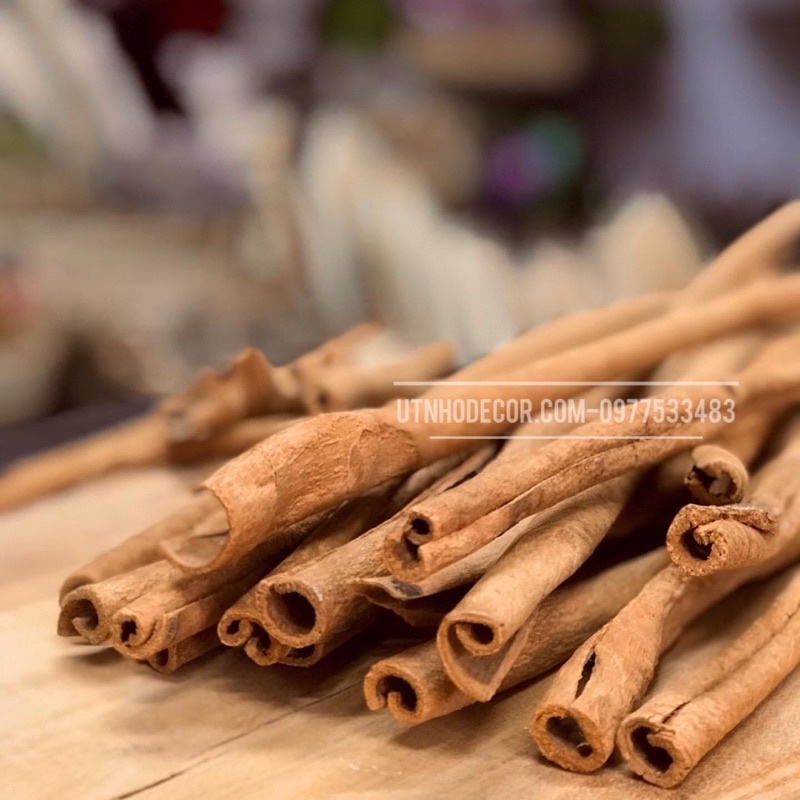 Set quế trang trí