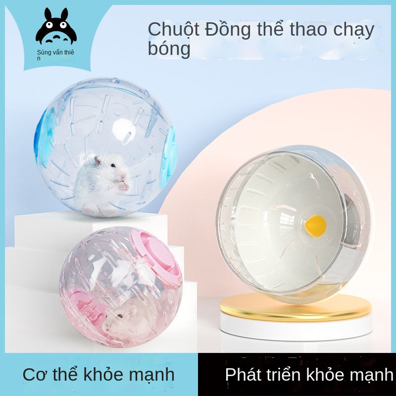 Hamster bóng thể thao tập thể dục đồ dùng cho thú cưng