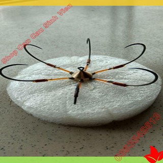 {( big sale )} Lưỡi câu lục [ rẻ vô địch ] hàng chuẩn