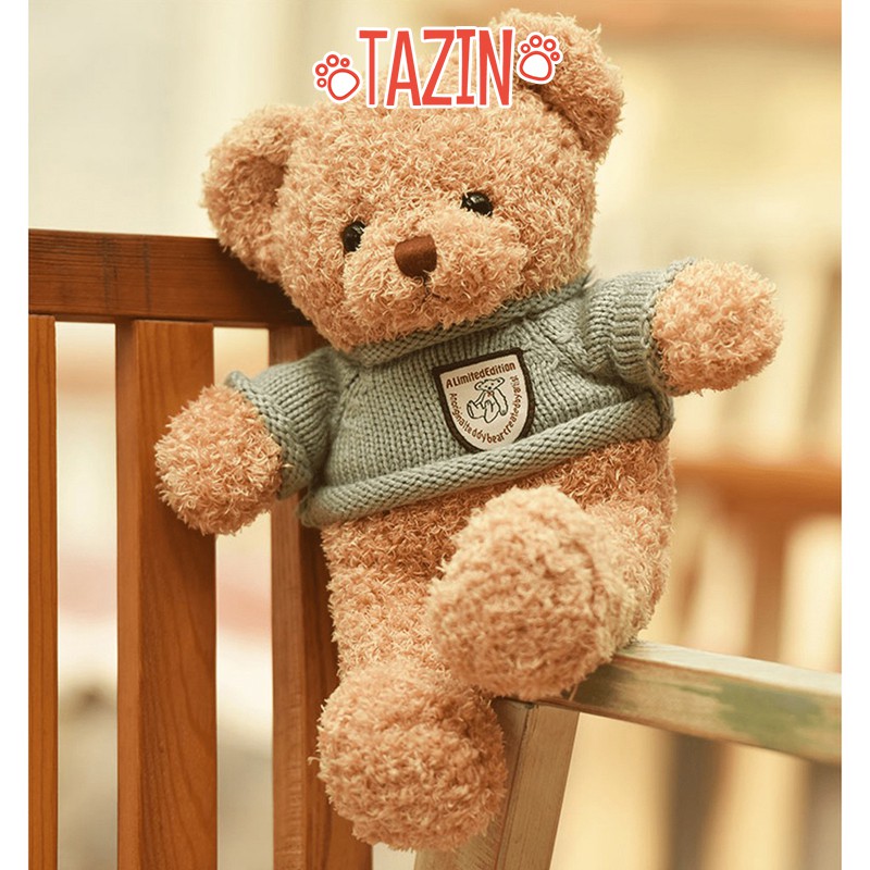 Gấu bông teddy head tales, teddy head tales bông len mini cao cấp Tazin