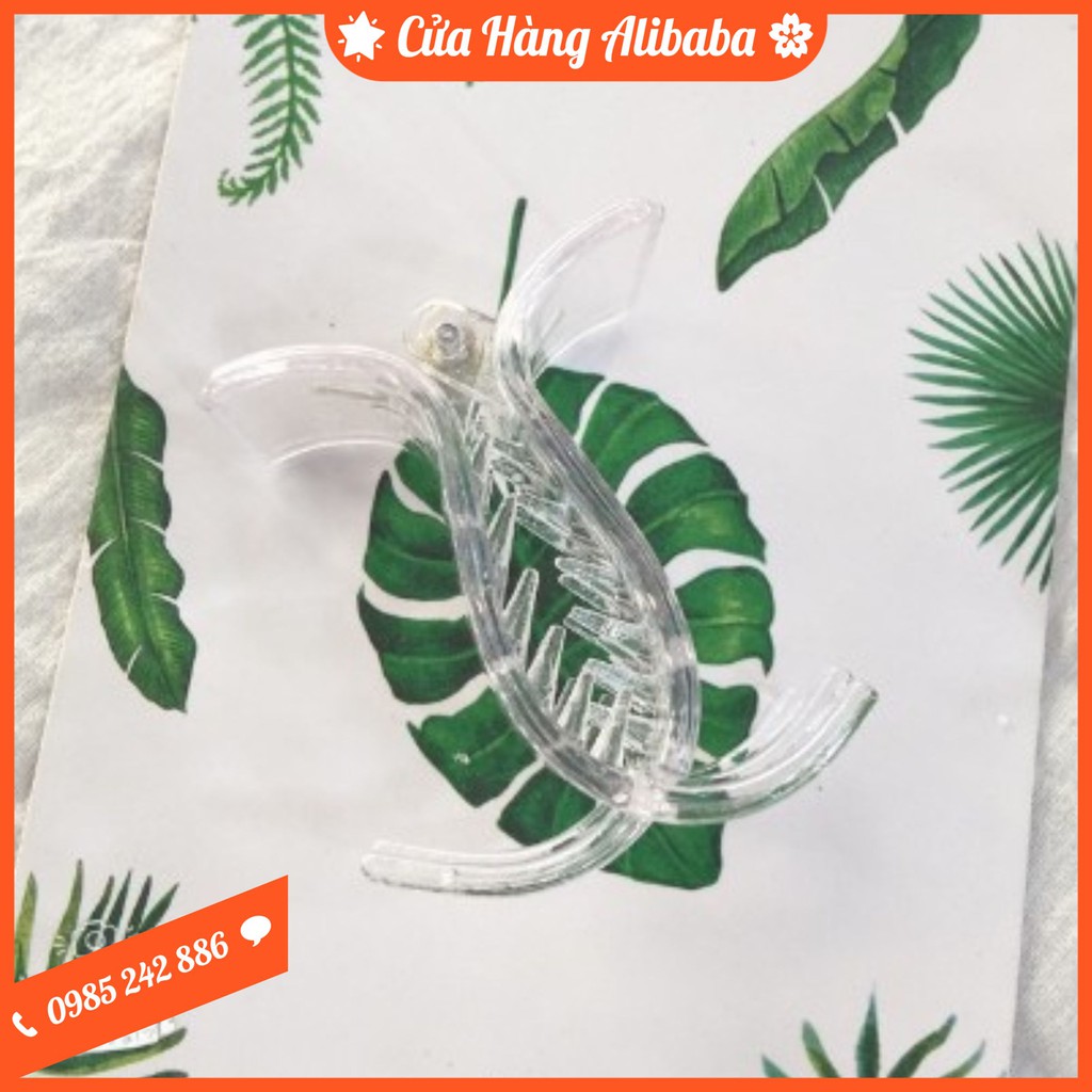 Vỉ 12 Chiếc Kẹp Càng Cua Trong Suốt Hàng Loại_1