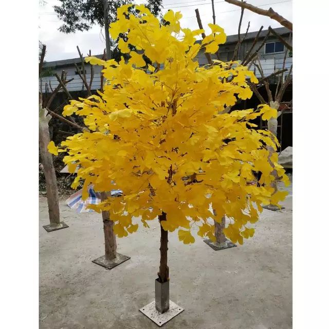Cành Lá Vàng, Cành Lá Ngân Hạnh Làm Cây Giả