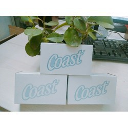 XÀ PHÒNG TẮM COAST MỸ | BigBuy360 - bigbuy360.vn