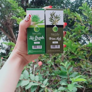 Combo tinh dầu tràm Huế sỉ