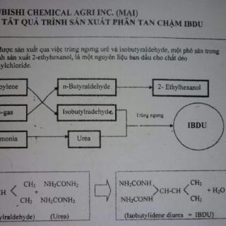 Phân bón nhật tan chậm NPK 12-6-6+2 Mg
