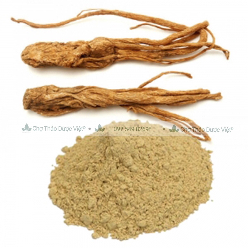 Bột đương quy 100g  - Chợ Thảo Dược Việt