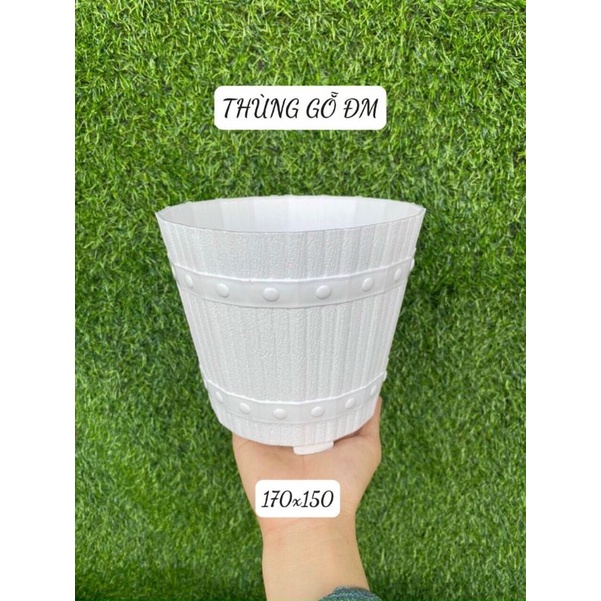 Chậu nhựa hình thùng gỗ hiệu Đức Minh KT 17*15cm