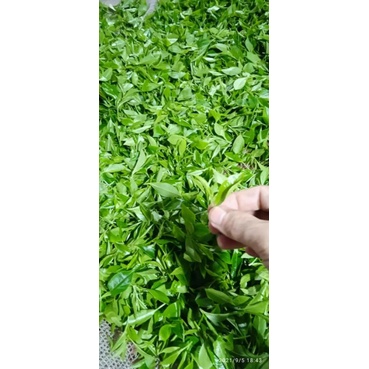 Trà hữu cơ 100% Organic  Mã (TRA 02) Đặc Biệt 100% Organic Frreship với đơn từ 1kg | BigBuy360 - bigbuy360.vn