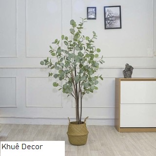 Cây Bạch Đàn Bắc Âu lá tròn 1m6 - Cây giả