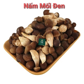 Combo 5 bịch phôi mối đen & giá thể sơ dừa đủ trồng