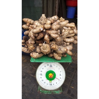 Củ nghệ đen tươi 1kg