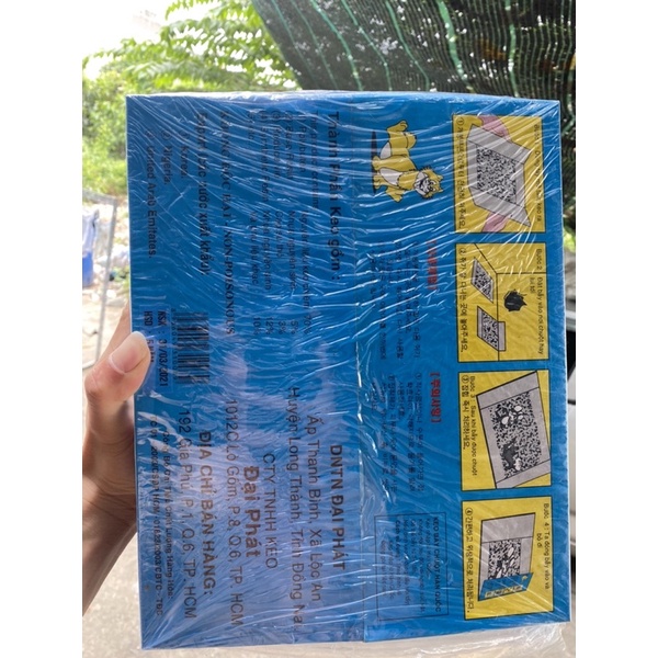 keo dính chuột Cống