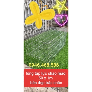 lồng lực chào mào 50 x 1m cực đẹp
