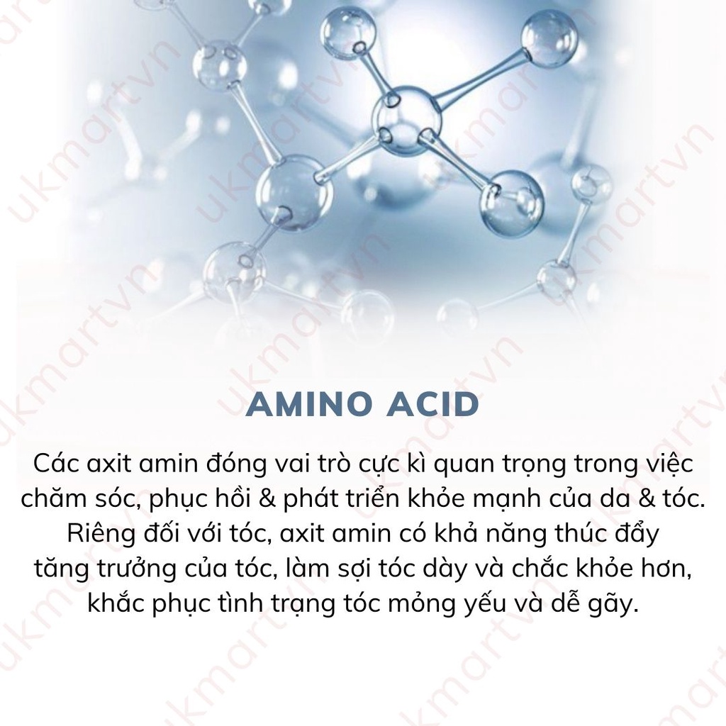 Dầu Gội Kumano Salon Link Cho Tóc Uốn, Tóc Nhuộm 1000ml