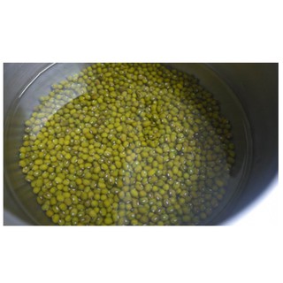 1KG ĐẬU XANH QUÊ CÒN VỎ
