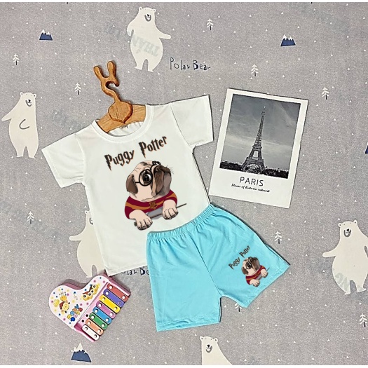 Bộ quần áo cho bé trai bé gái - Đồ thun cao cấp bé trai gái puggy dog, chất cotton