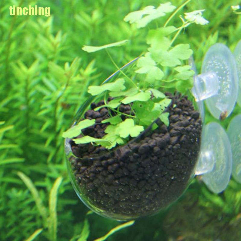 Bộ 1 Cốc Thủy Tinh Mini Cho Trồng Cây