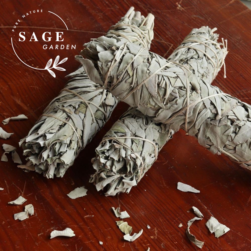 XÔ THƠM TRẮNG_White Sage_SAGE GARDEN