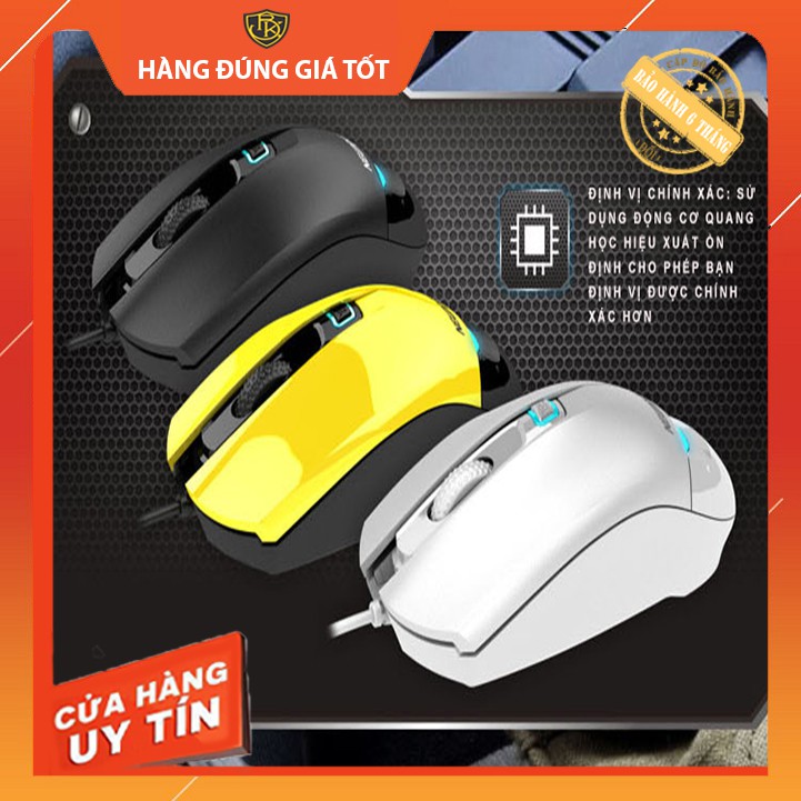 [ BH 1 Đổi 1 ] HÀNG CHÍNH HÃNG - Chuột có dây chuyên Game - Newmen G10