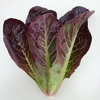 Hạt Giống Xà Lách Romaine Đỏ 1g