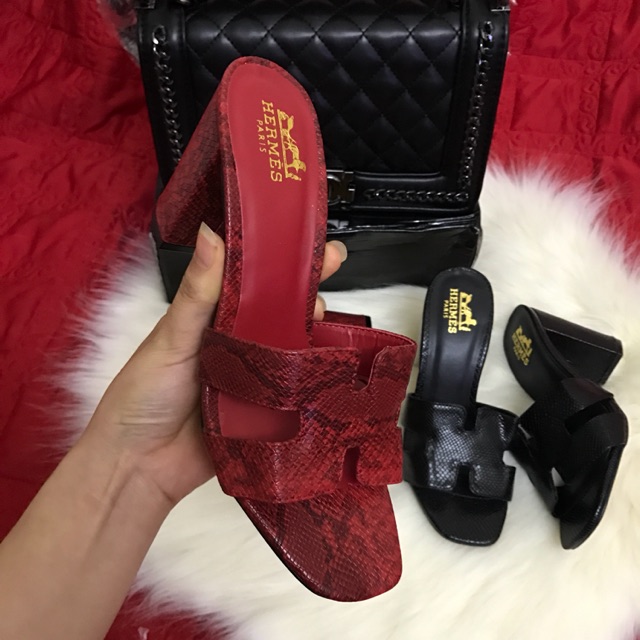 Hm rắn