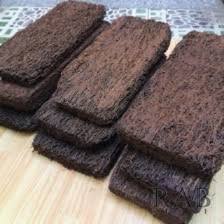 Dớn bảng trồng phong lan