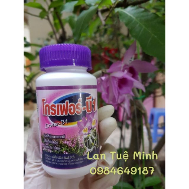 Phân bón kích rễ Super B1 Thái 100ml cực tốt cho lan, cây cảnh