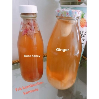 Trà lên men kombucha f 2 mix vị 390ml