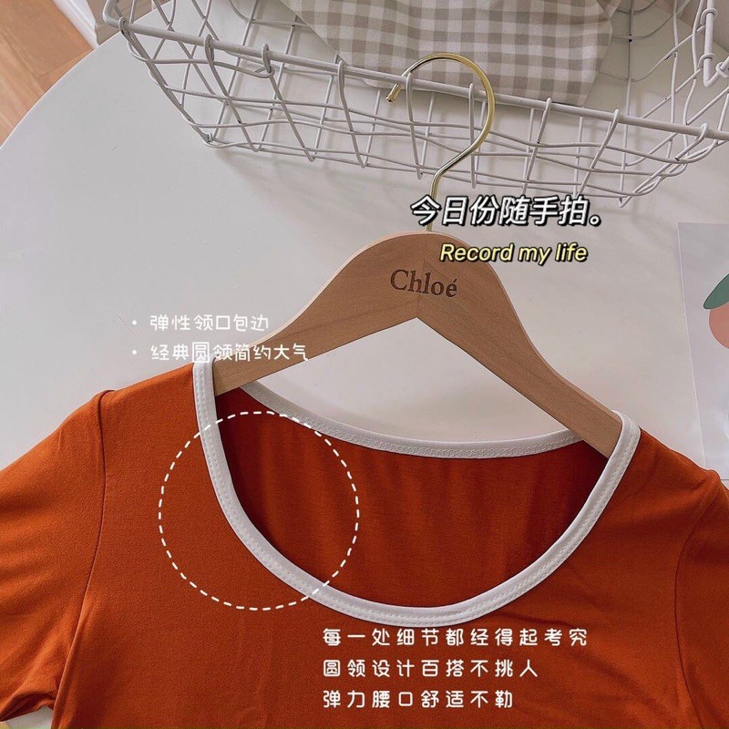 Áo phông nữ cotton thấm mồ hôi, cổ viền nhiều màu cực đẹp đủ màu