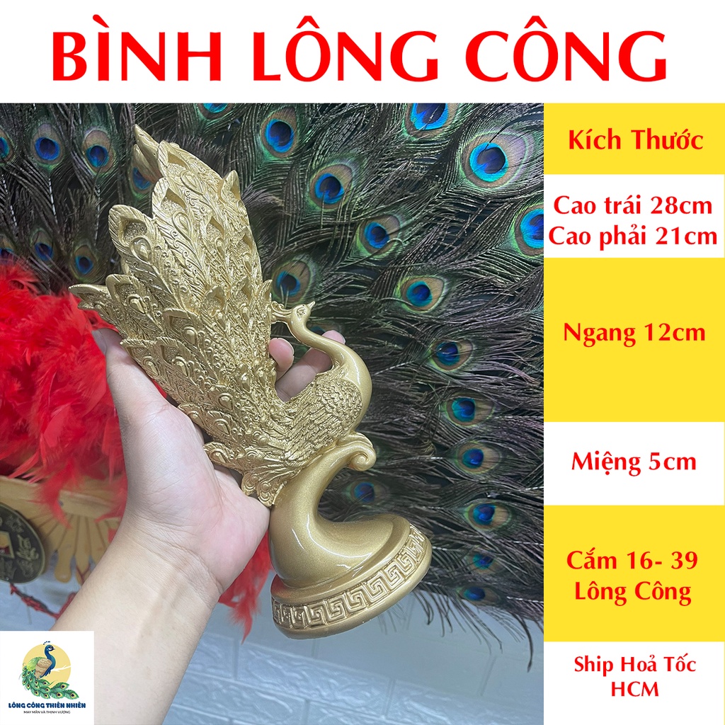 Bình composite cắm lông công - Bình Chim Công Khổng Tước Size Nhỏ Cao 28cm